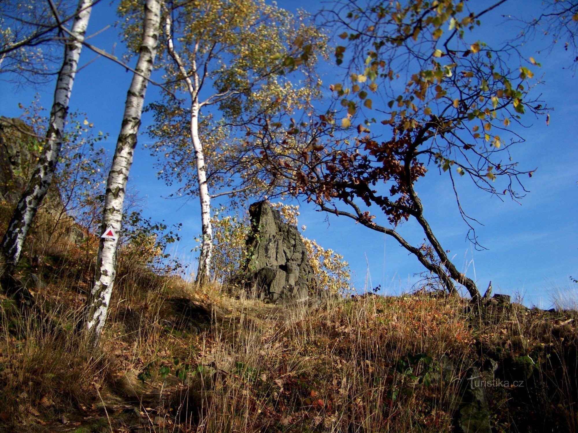 Центральна гірка 2008