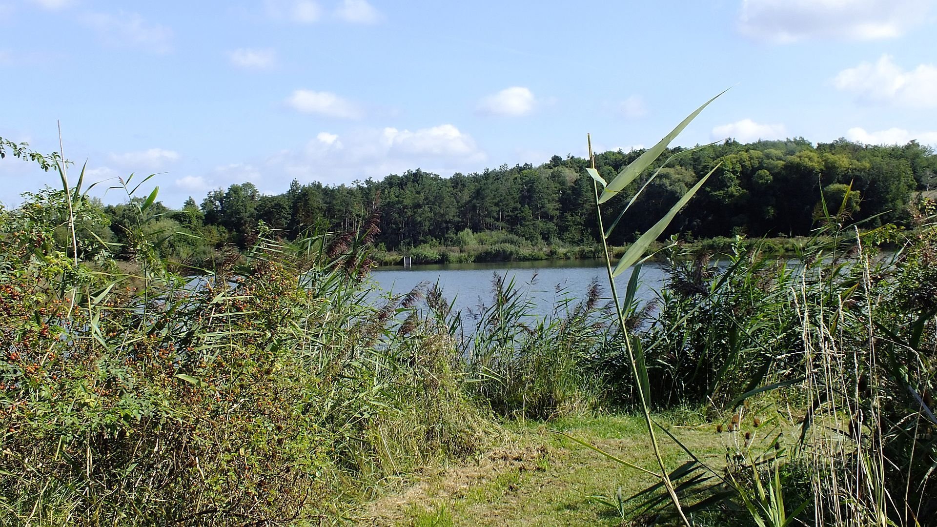 Středokluky, Pod Panskou dam