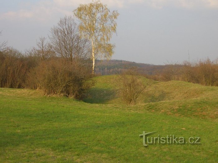 Na primavera, a pedreira de Strejček está cheia de flores de centáurea