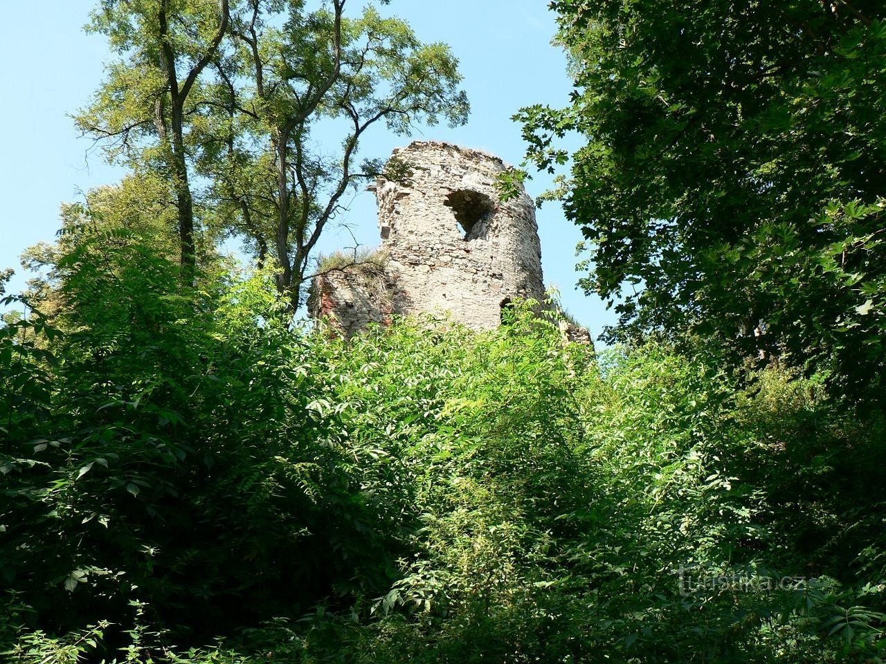 A împușcat castelul