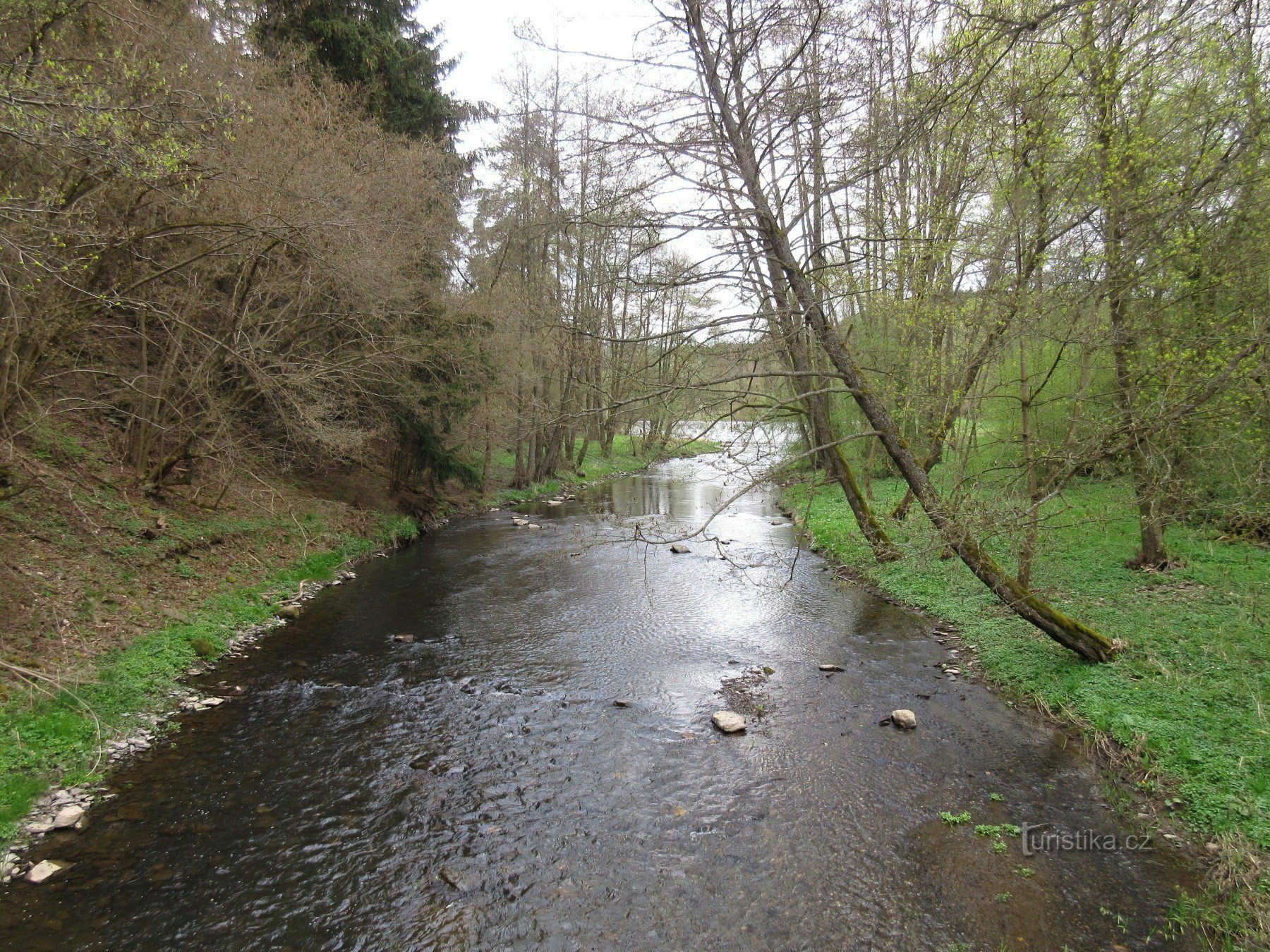 Schuss von der Brücke - nicht weit von Mladotic