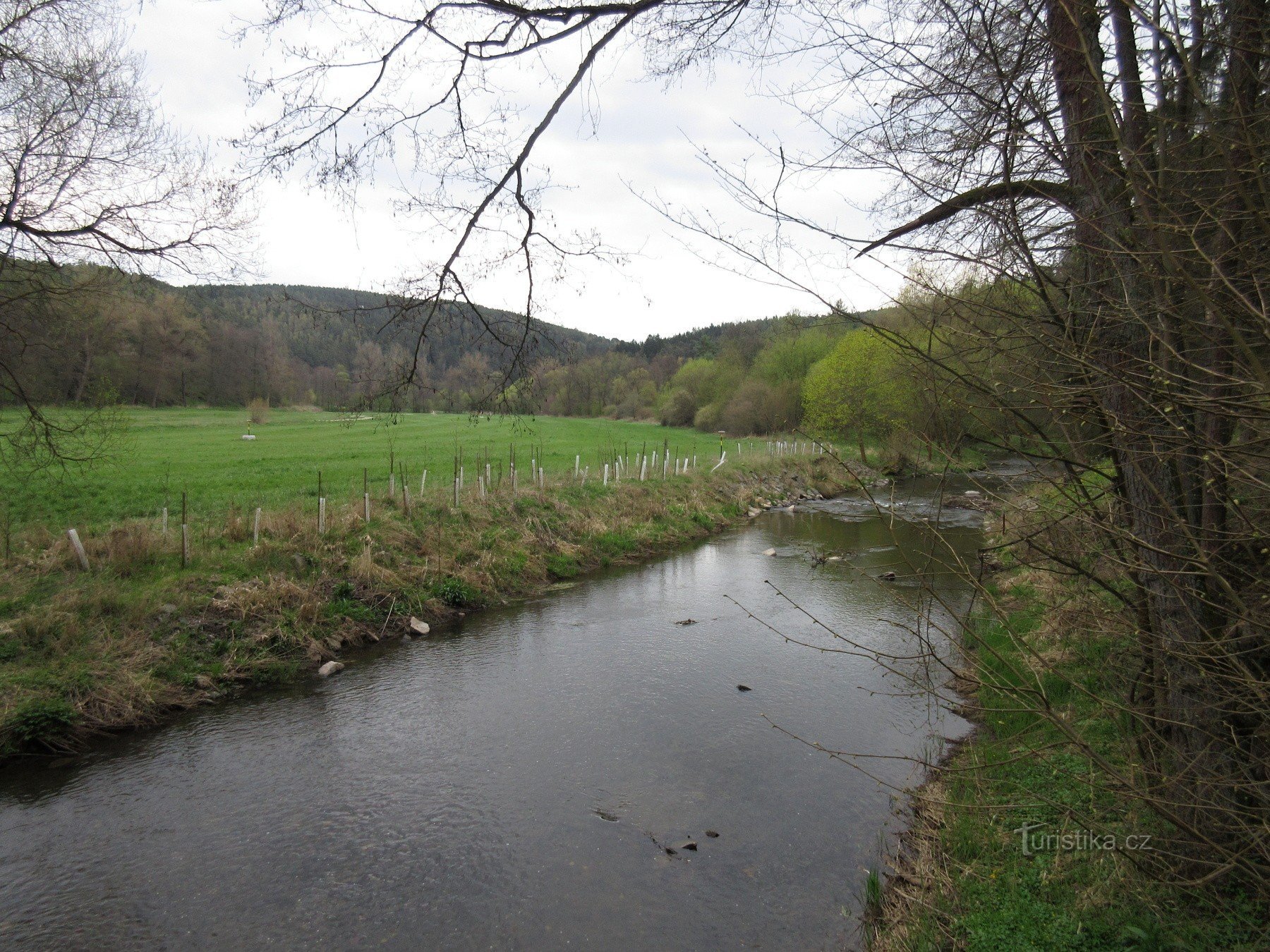 Tiré du pont - non loin de Mladotic