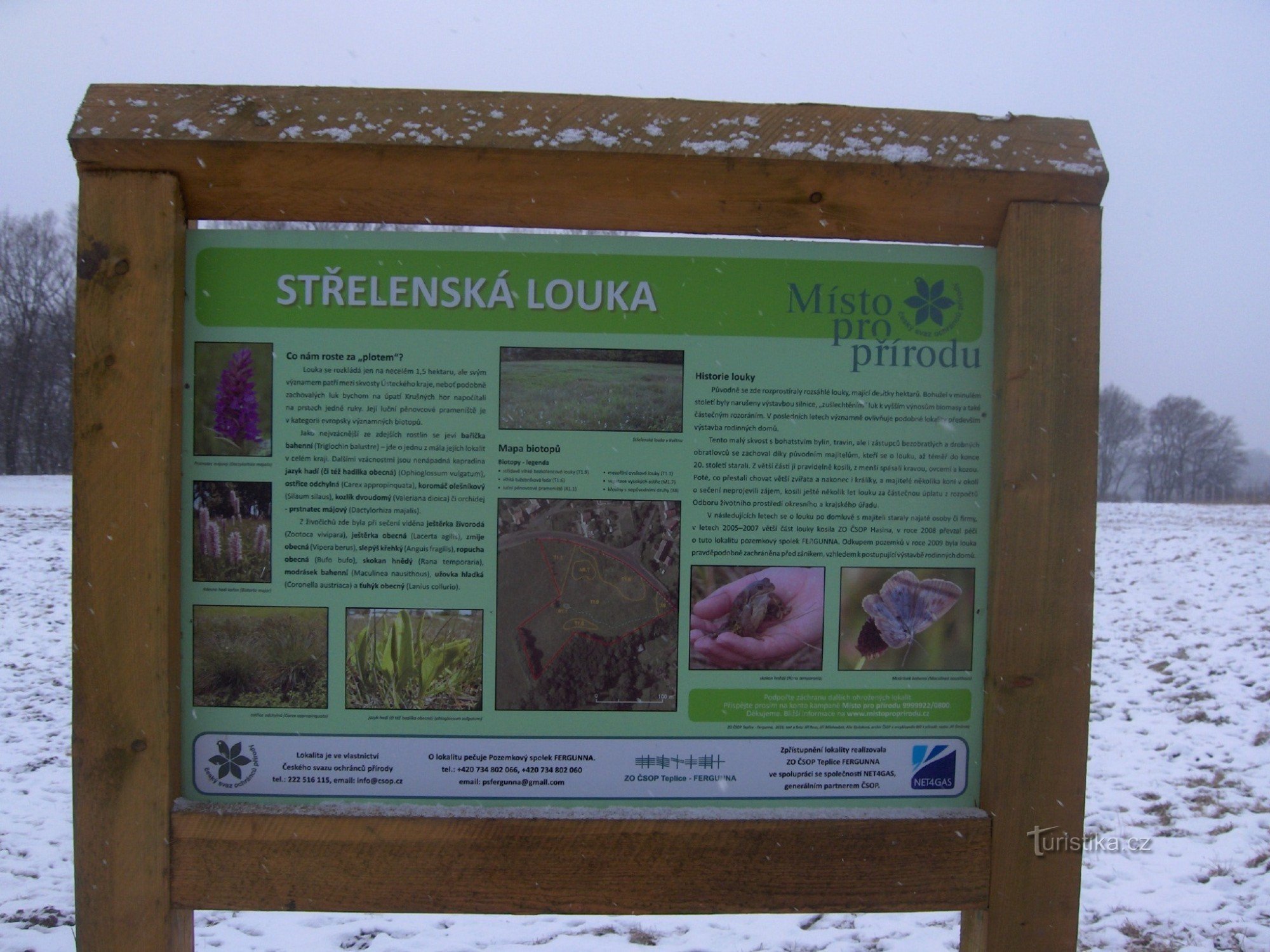 Střelenská louka