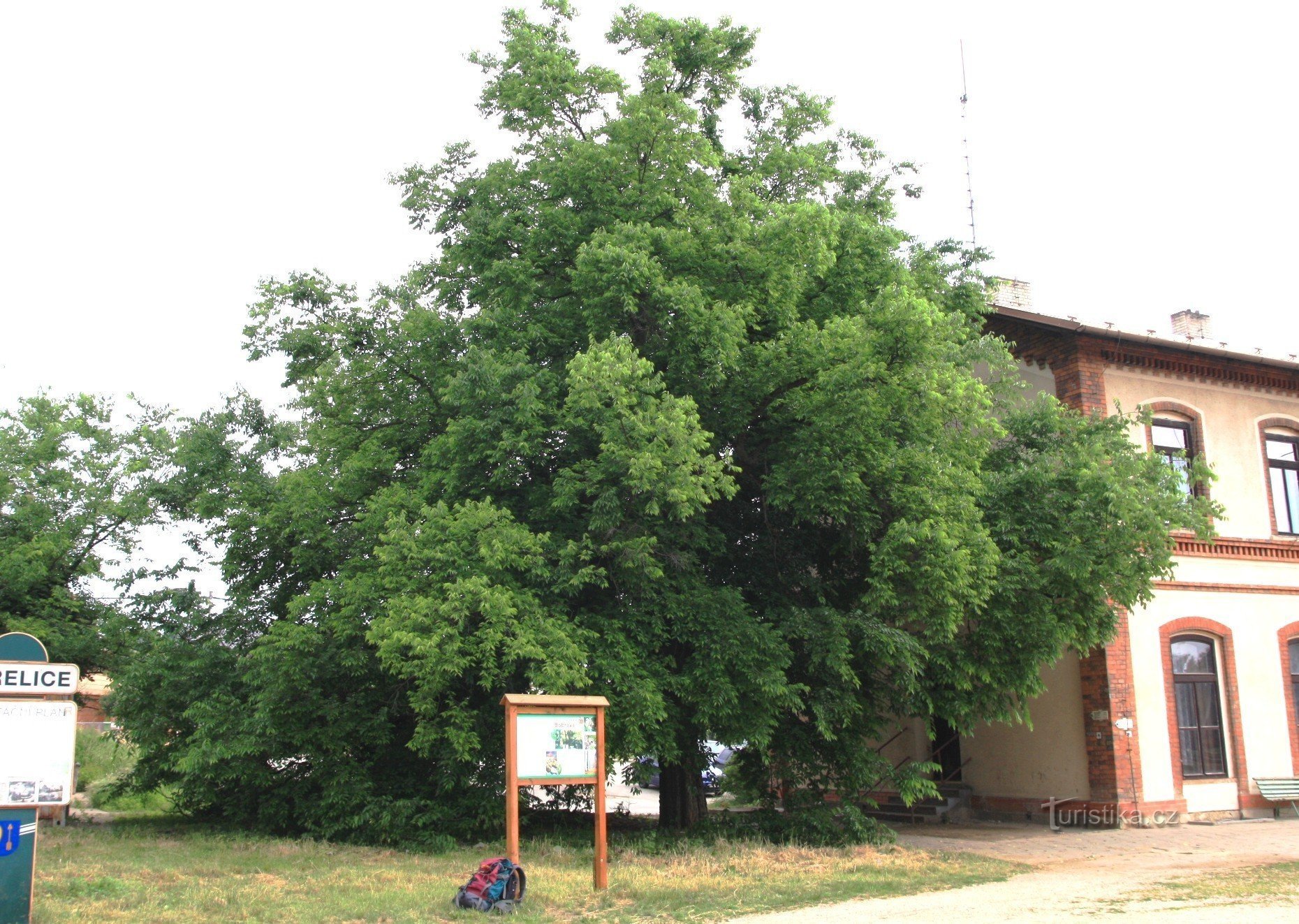 Střelice - elm ved stationen