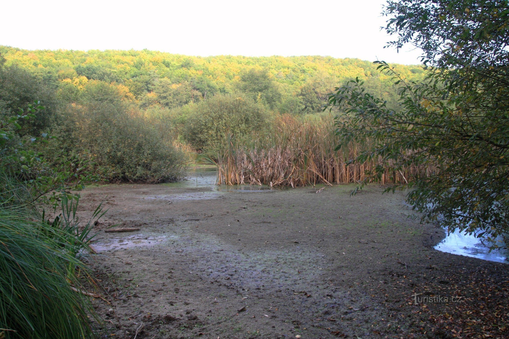 Shooting swamp - autumn 2012