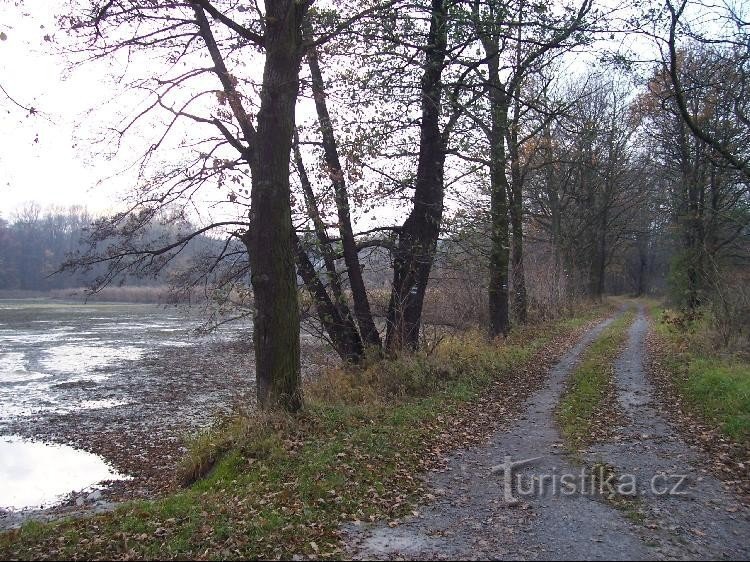 Schietvijver: Zicht op de vijver