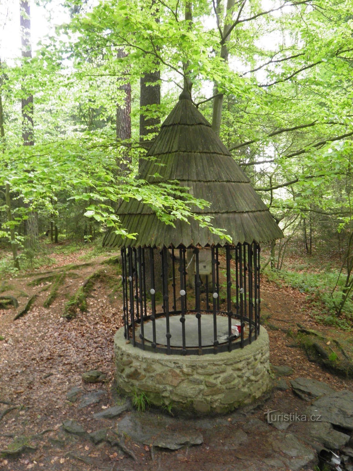 Silver well by Ivan's ponds
