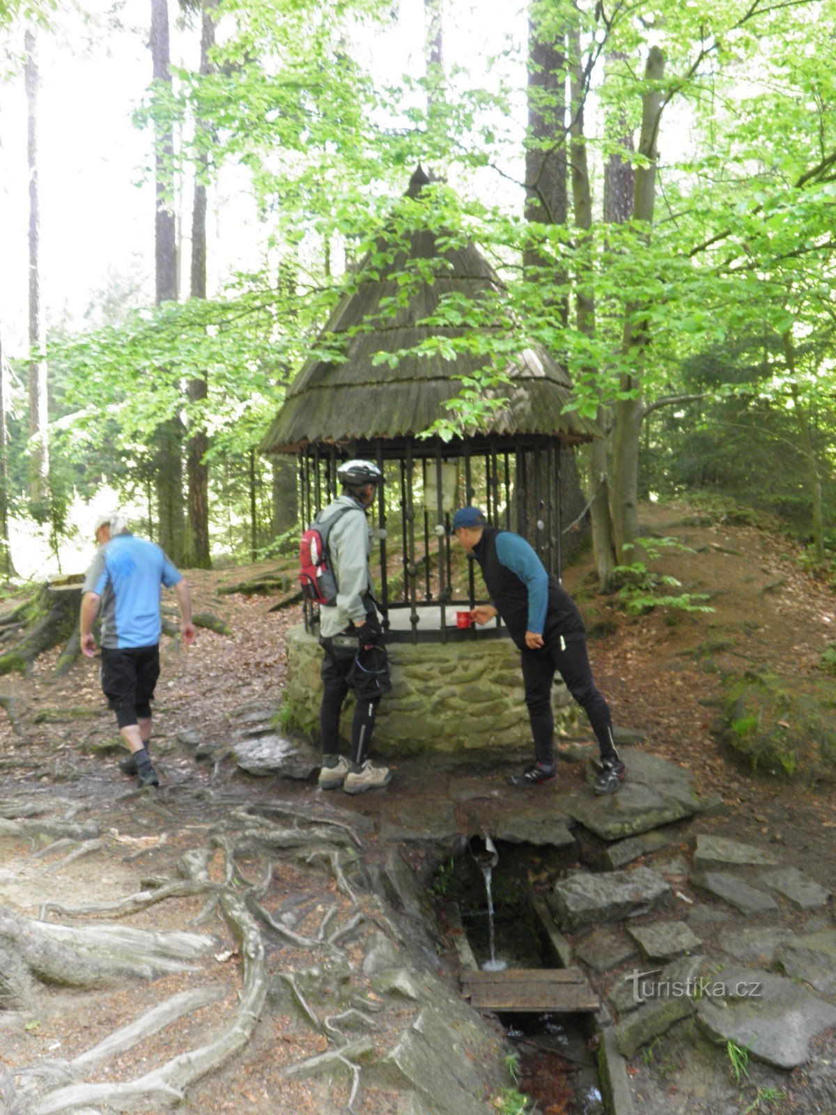 Silver well by Ivan's ponds