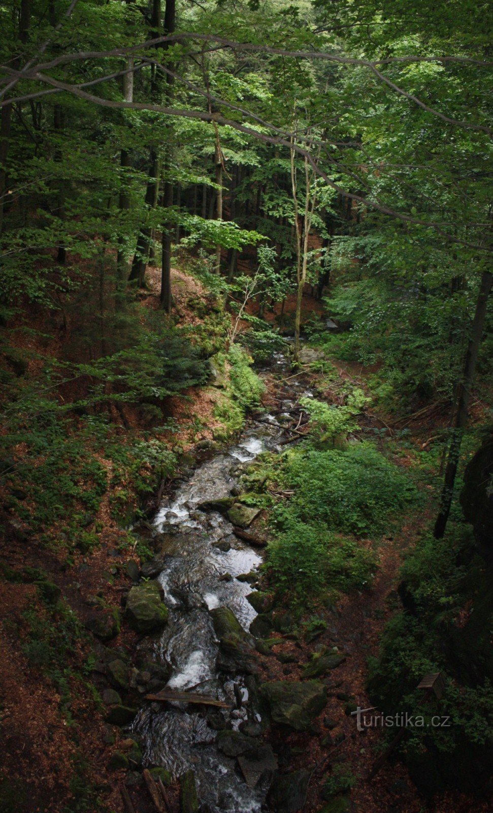 Srebrny potok, na którym znajdują się stawy hodowlane z Basztą Rybacką w pobliżu Nýznerova