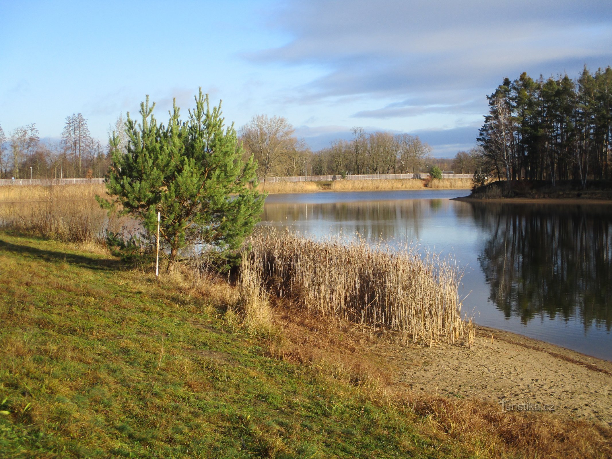 Silverdamm (Malšova Lhota)