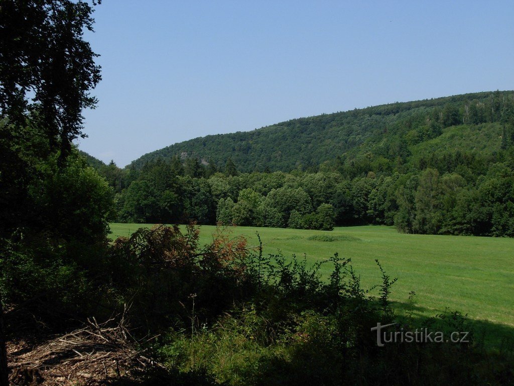 Alternancia de prados y colinas boscosas