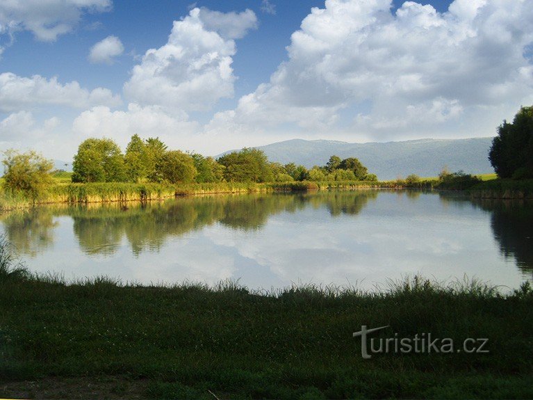 Střižovick pond