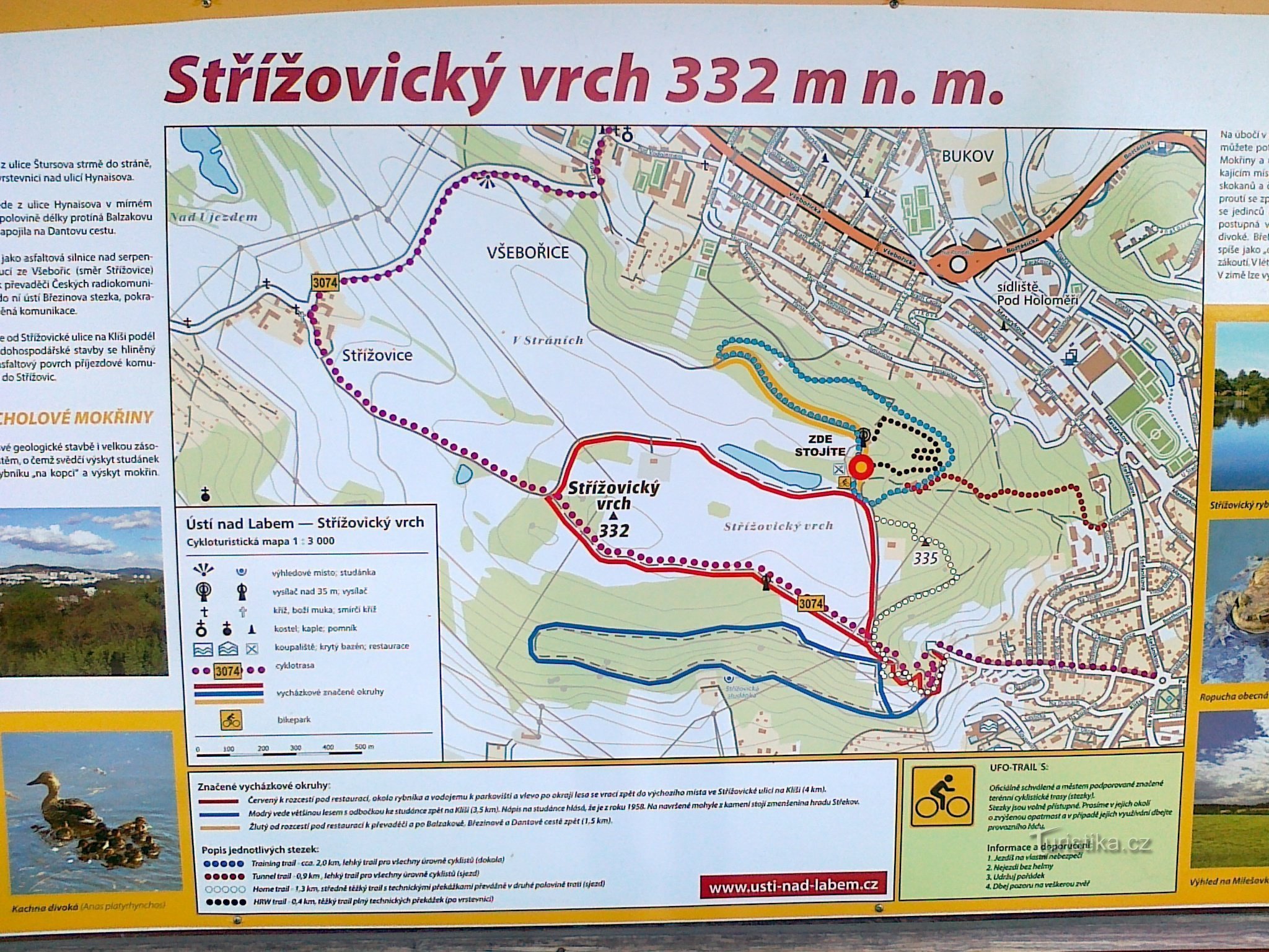 Strížovicky-hegy