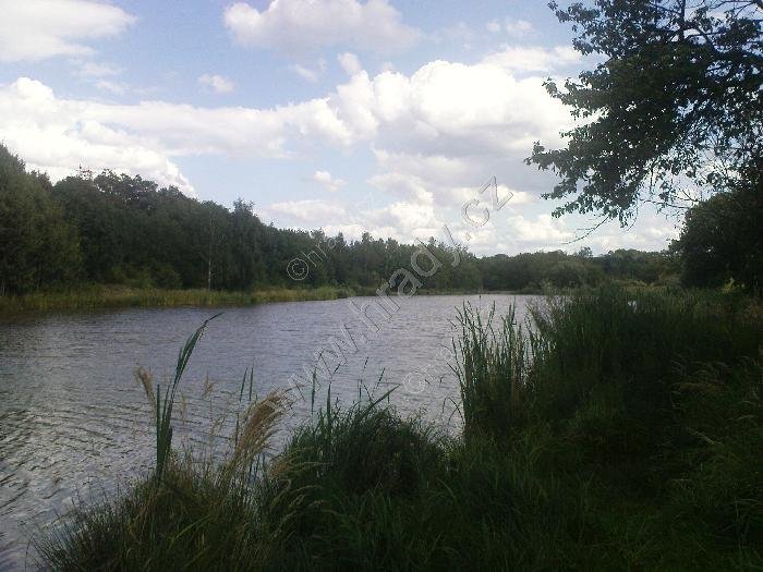 Střížovický vrch