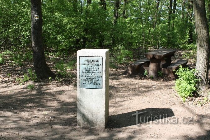 Tree - memorial stone