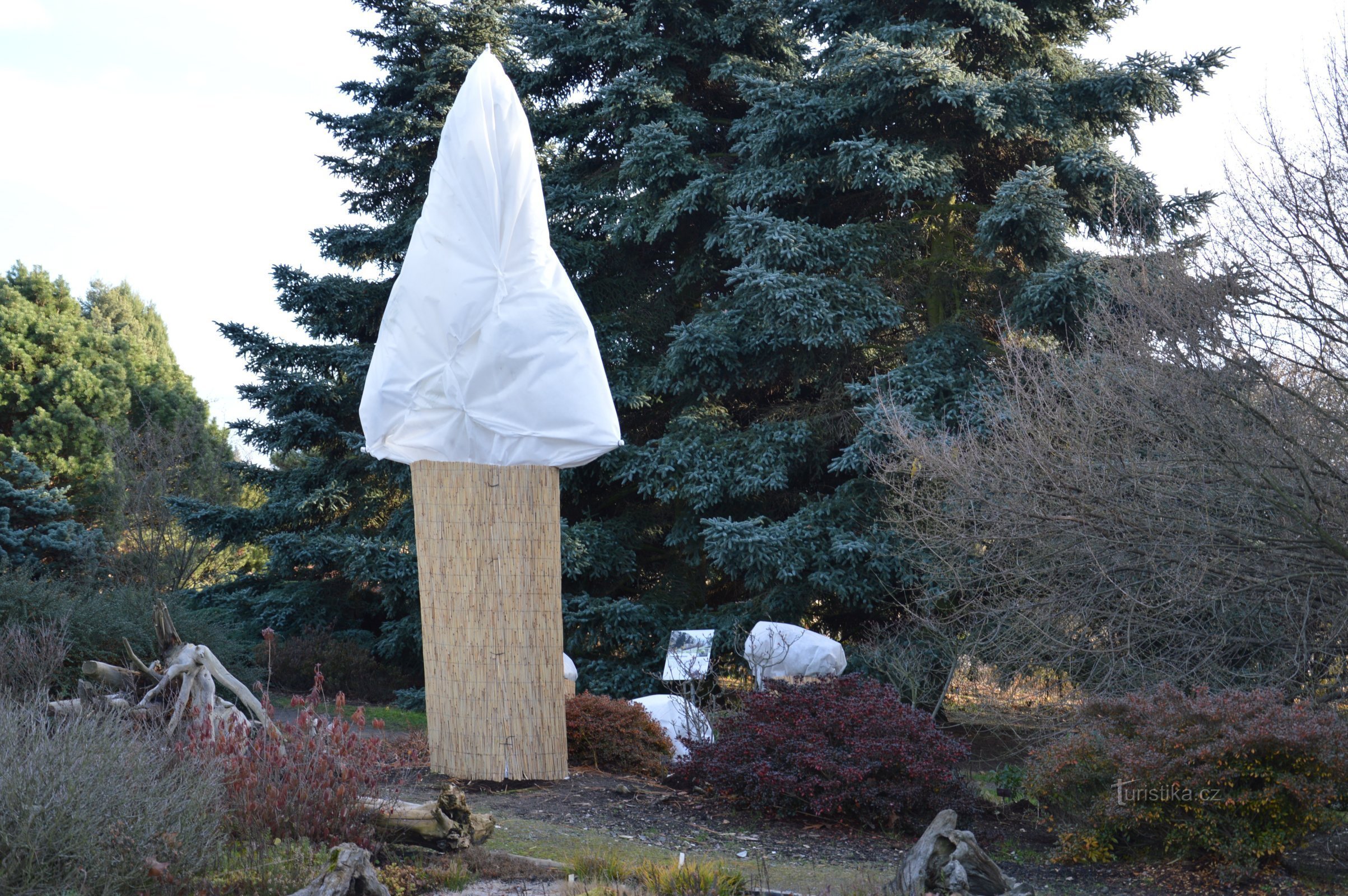 arbre prêt pour la neige et le gel