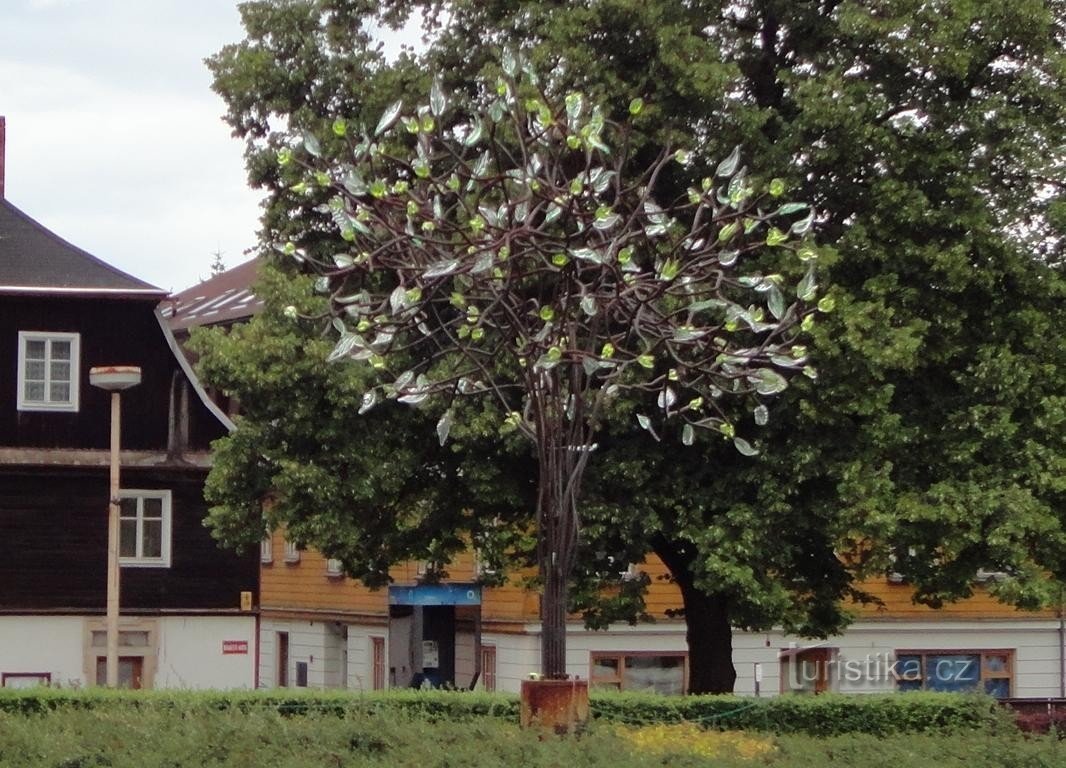 Un arbre pour Nový Bor