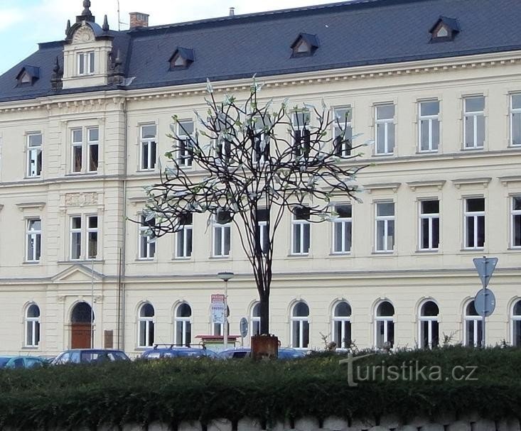 Un árbol para Nový Bor