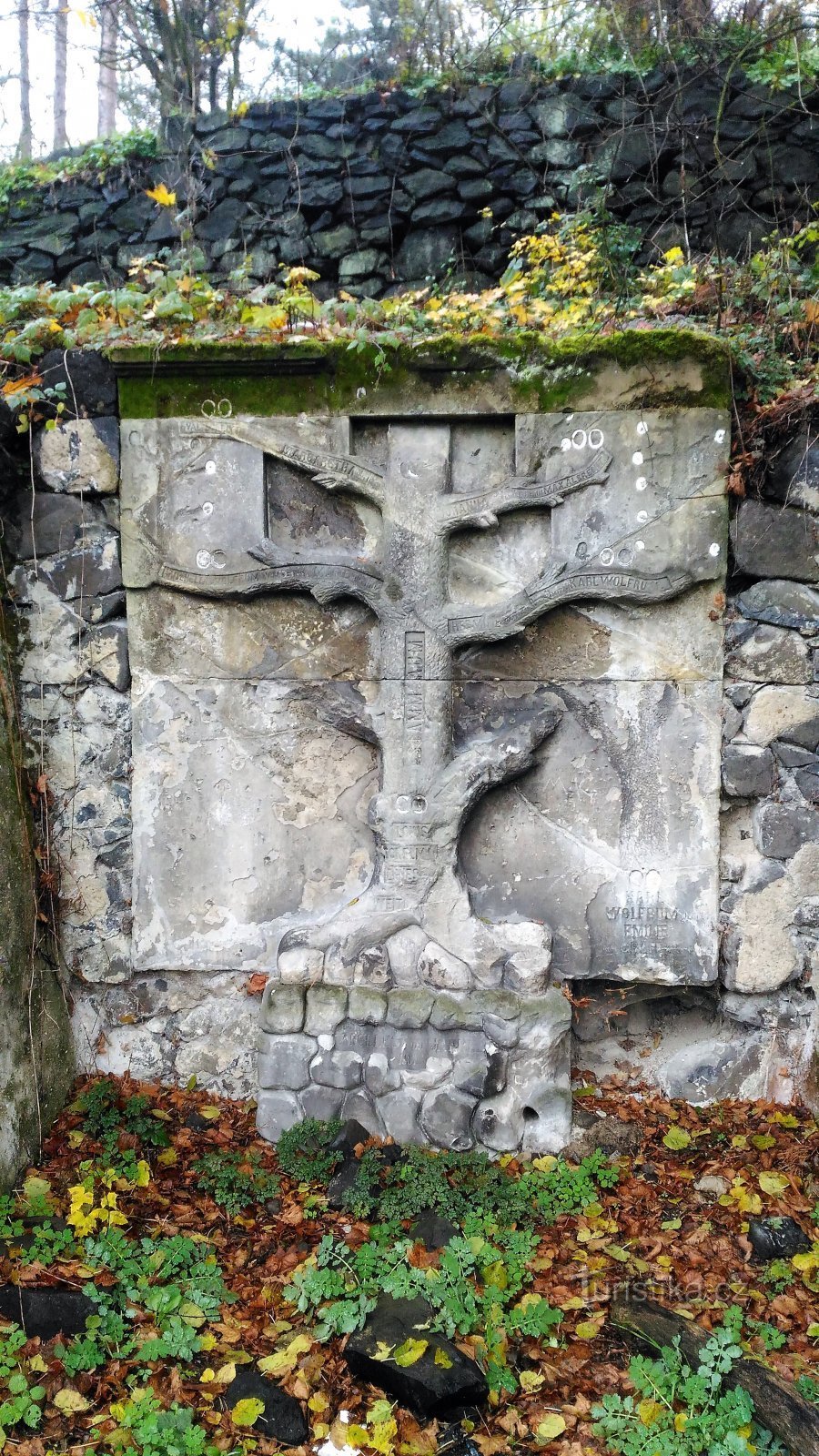 L'arbre de vie de la famille Wolfrum.