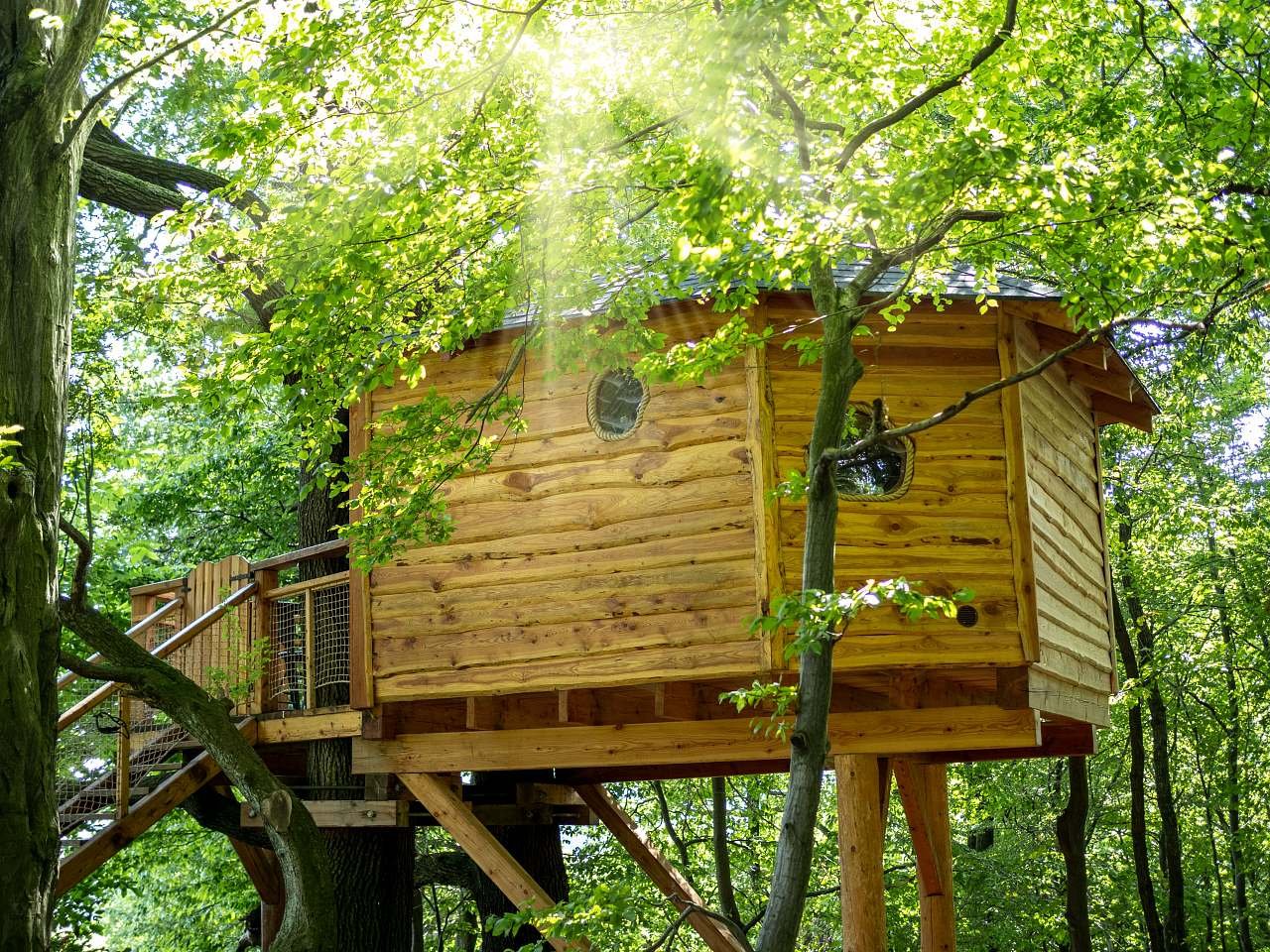 Cabane dans les arbres Vlčková