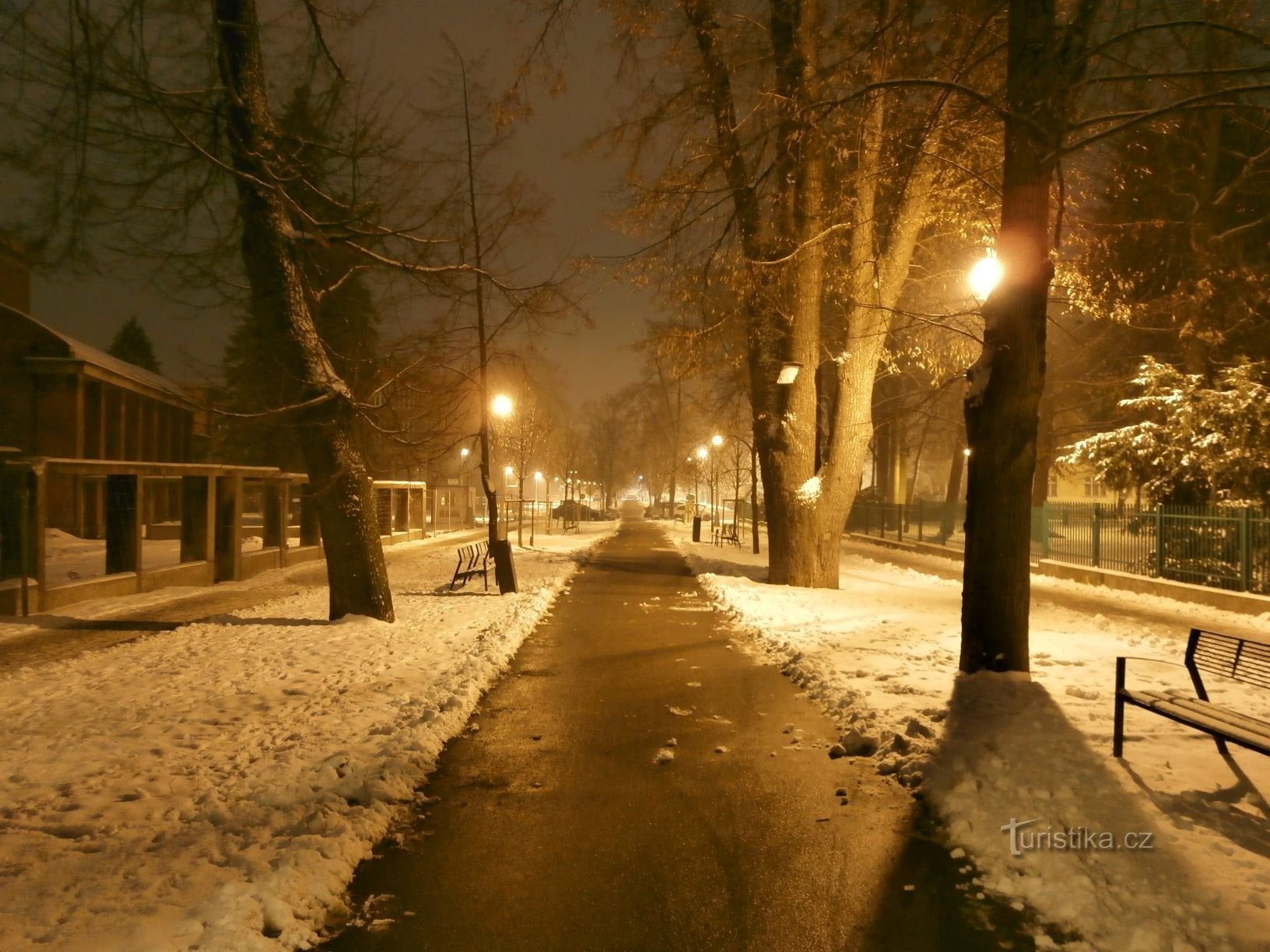 Lipky tree line (Hradec Králové, 29.1.2013)