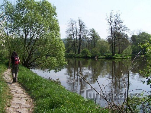 The trees are reflected in the water...