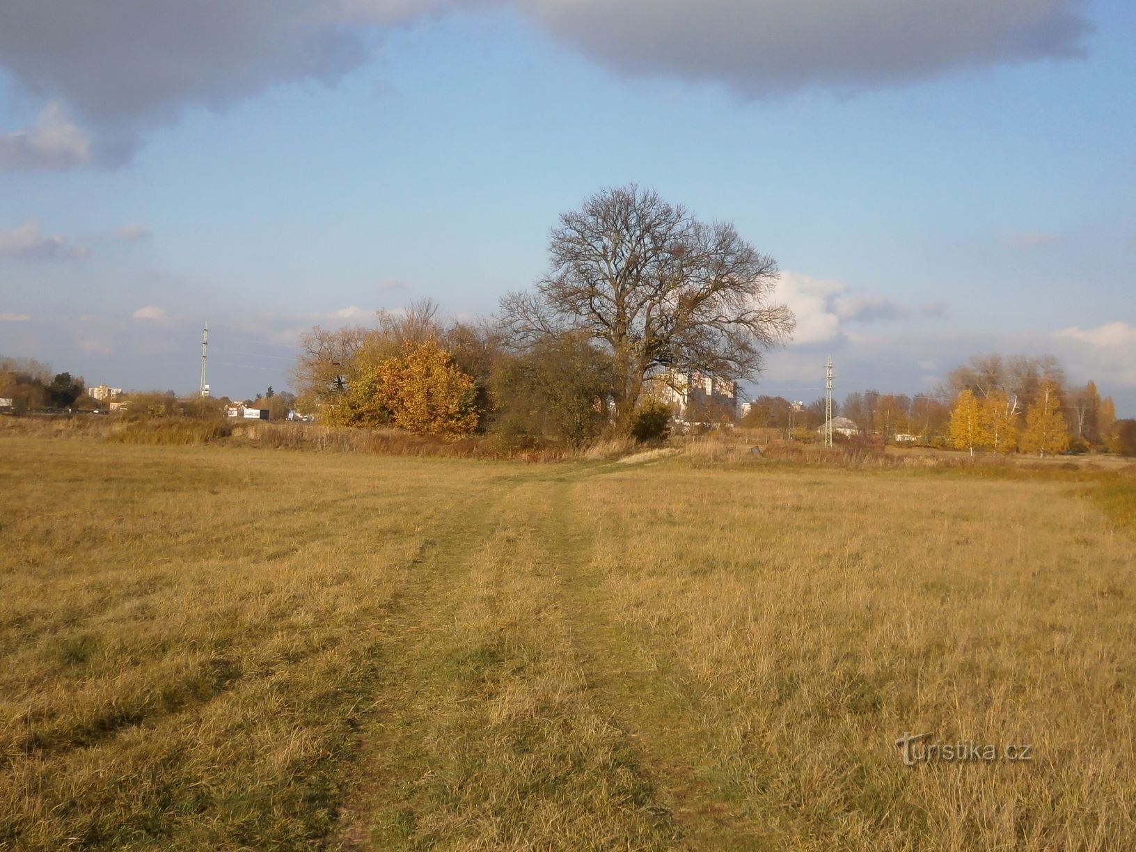 Árboles cerca de Vlasačka (Hradec Králové, 9.11.2016 de noviembre de XNUMX)