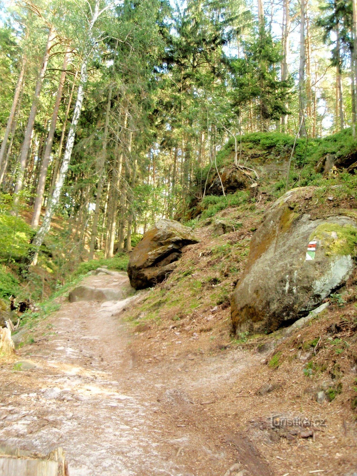 Rozerwij się na grzbiecie