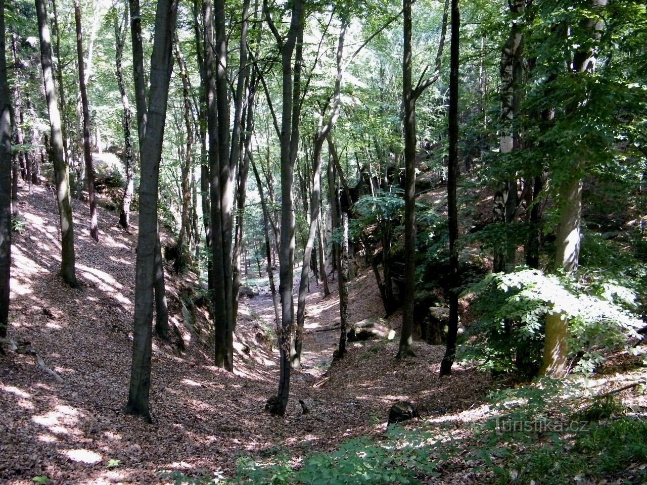 Studánecká ravine