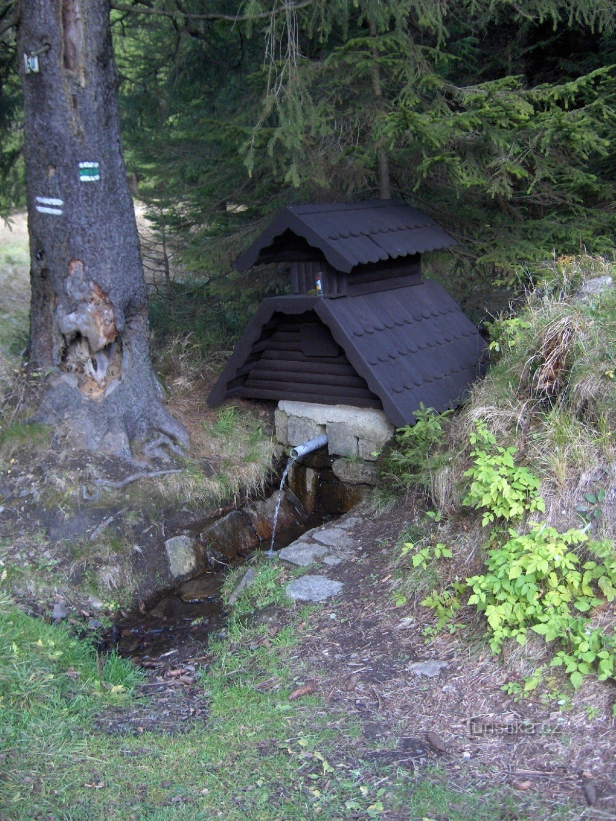 Studánka