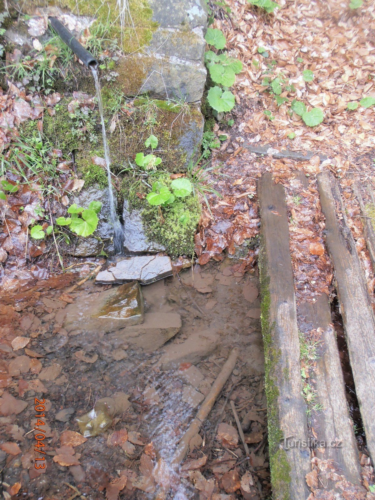 studánka