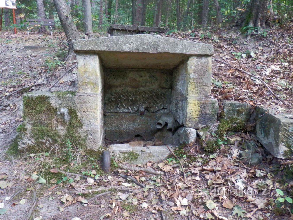 Studánka