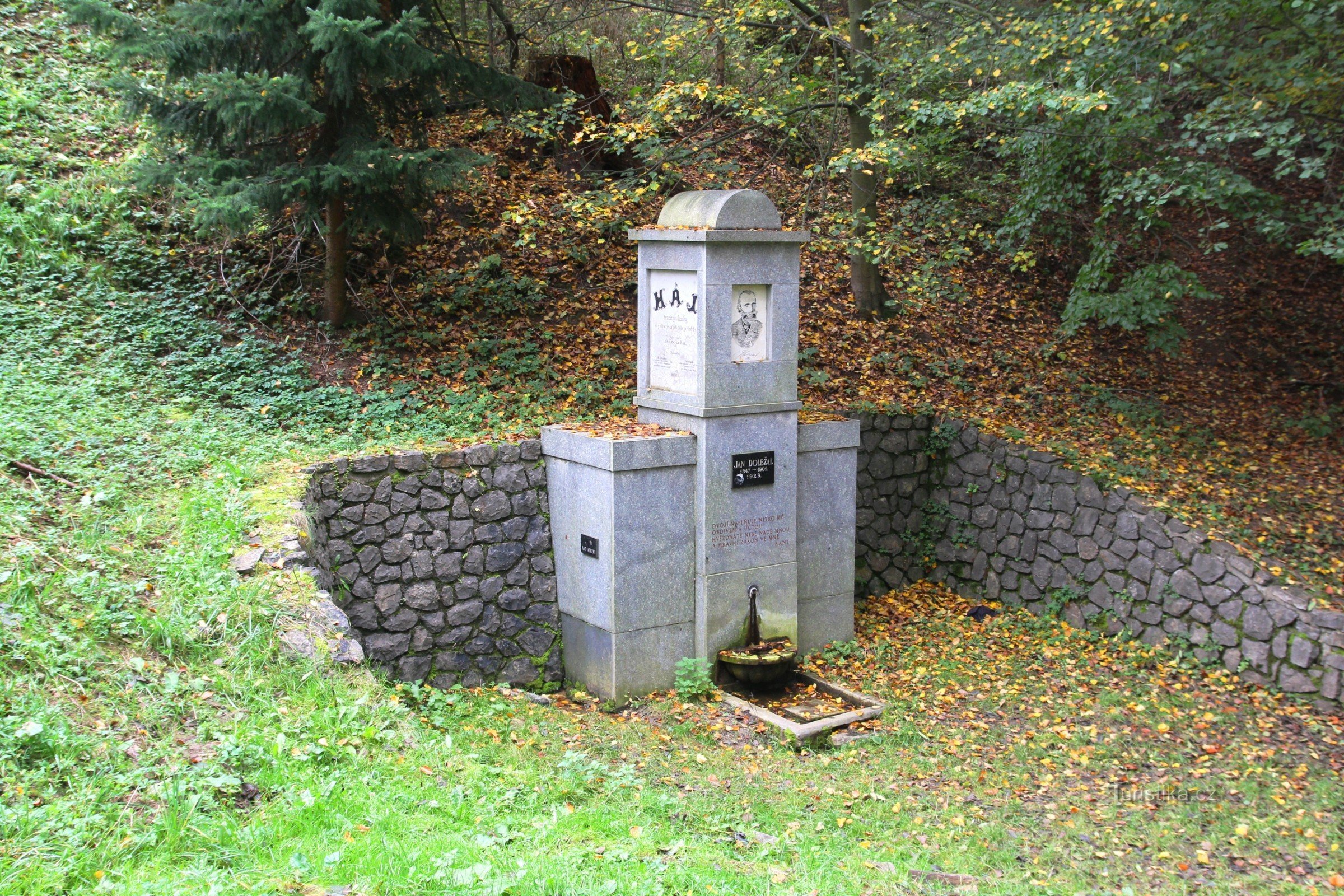 U buku 牧草地の端にある Studánka J. Doležala