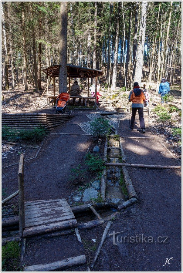 Libušinka bron in het bijenbos