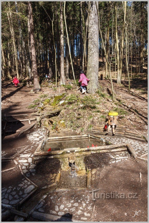 Libušinka bron in het bijenbos