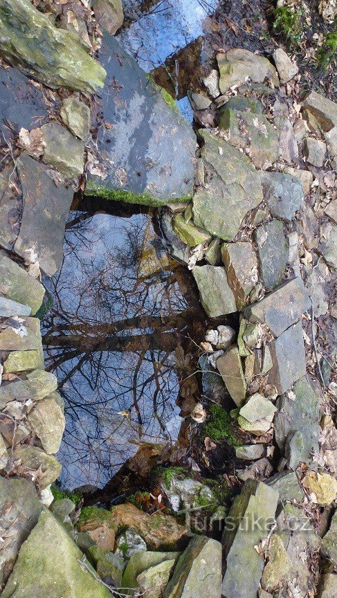 Studánka Litocha