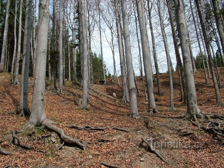 Well in Kršlá