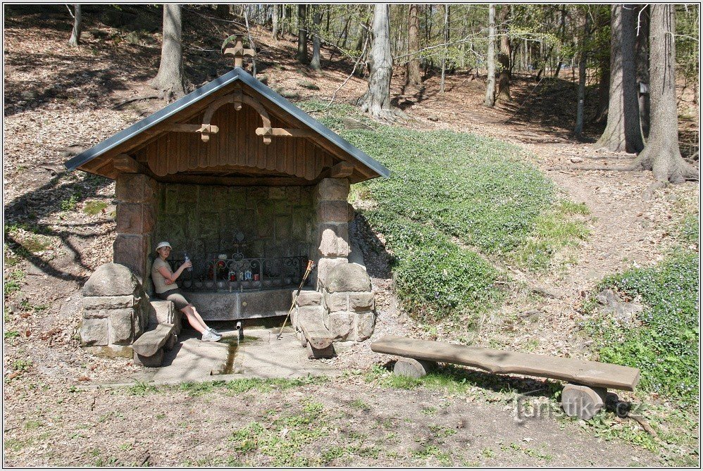 Studánka nad Petříkovicemi