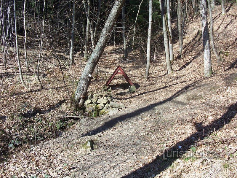 Ben al di sopra della natura morta di Scheinost