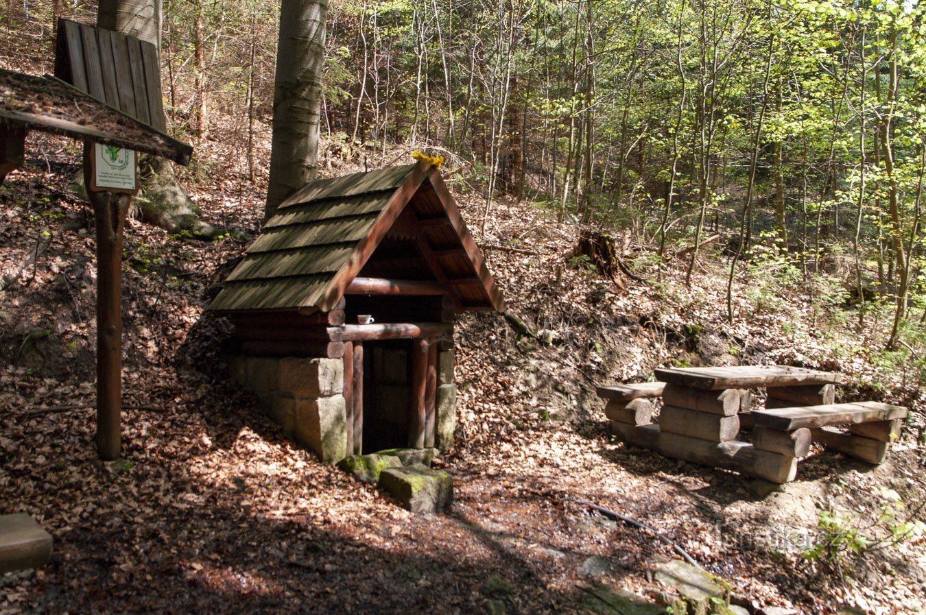 Pozzo di coraggio - Heryanka