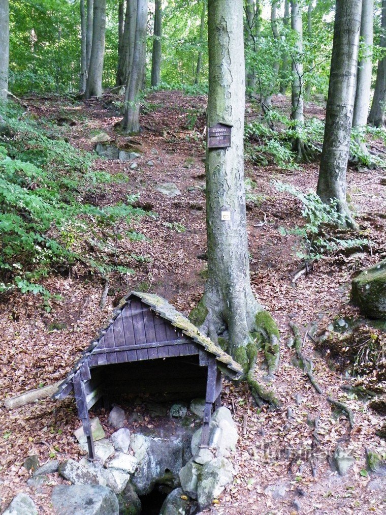 Studánka Paní studýnka