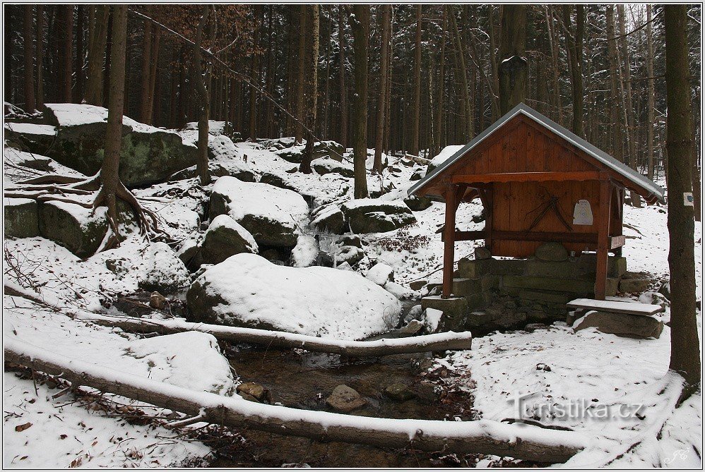 Studánka pod Borem