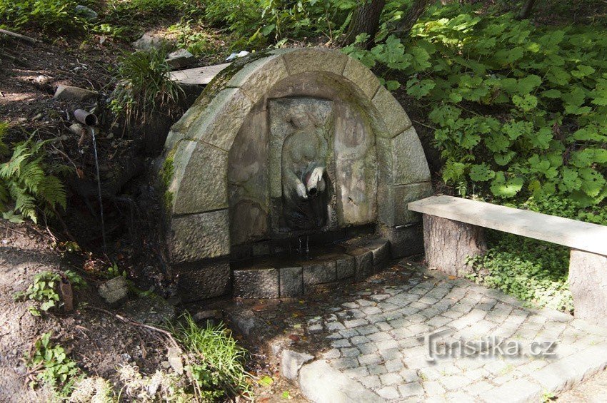 Studánka pod Červenohorským sedlem