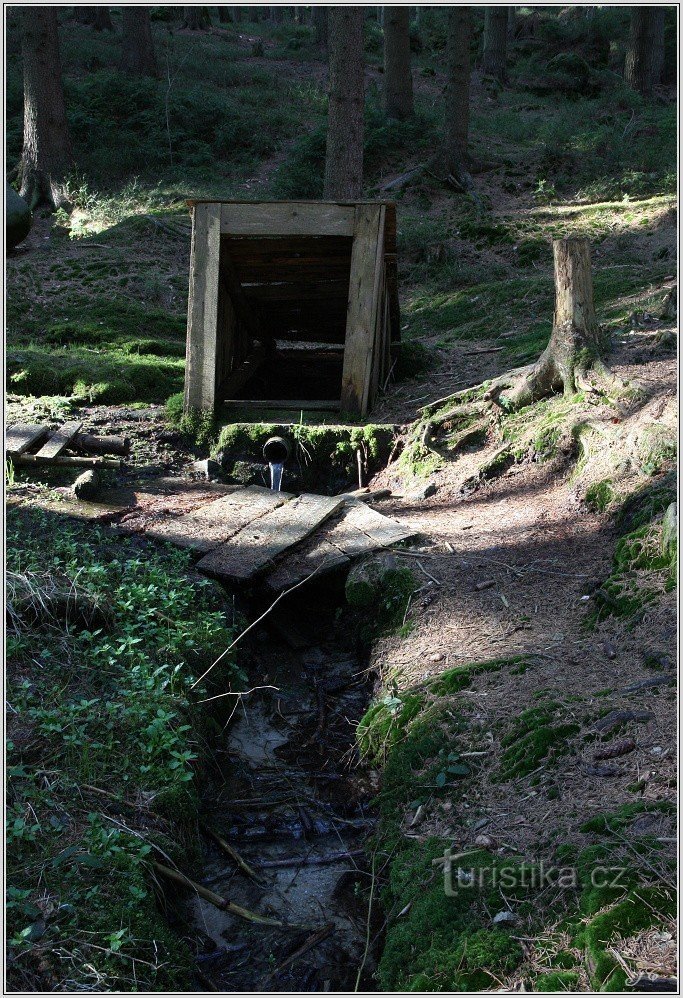 Studánka pod Ostaš v dolini Klučanke