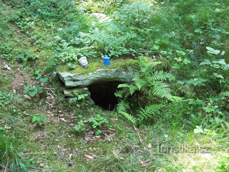 Studánka pod Třešní