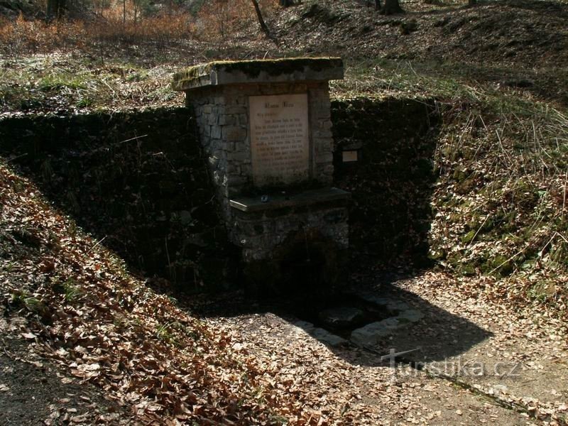 Der Brunnen, das Plädoyer des Waldes