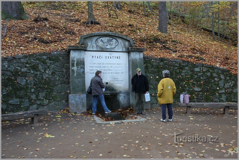 Fântâna Sanctuarului Păsărilor