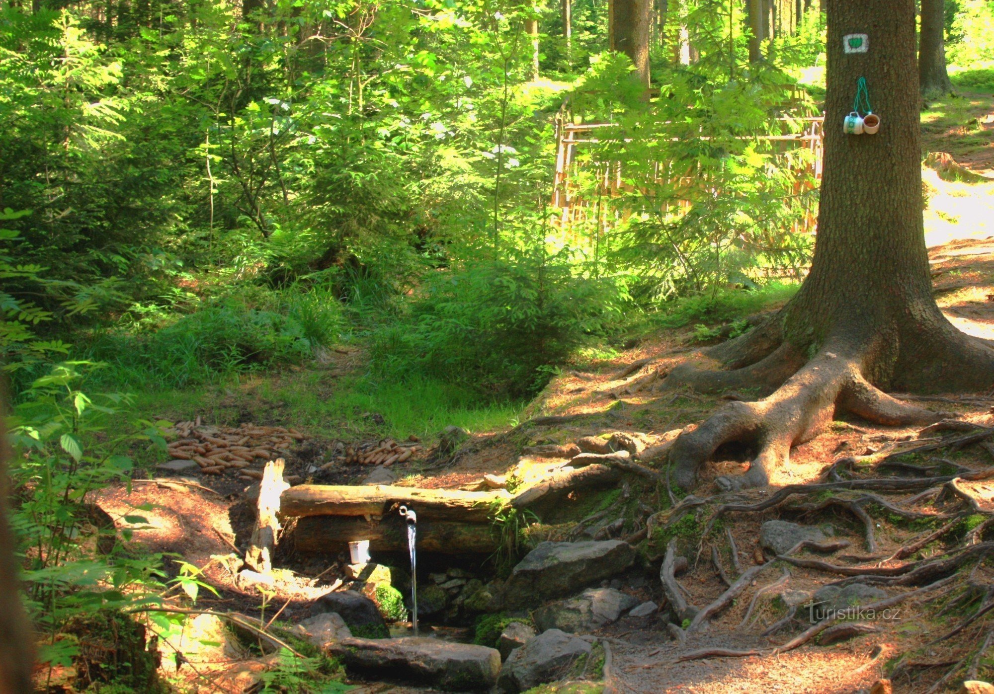 Studánka Salvátorka