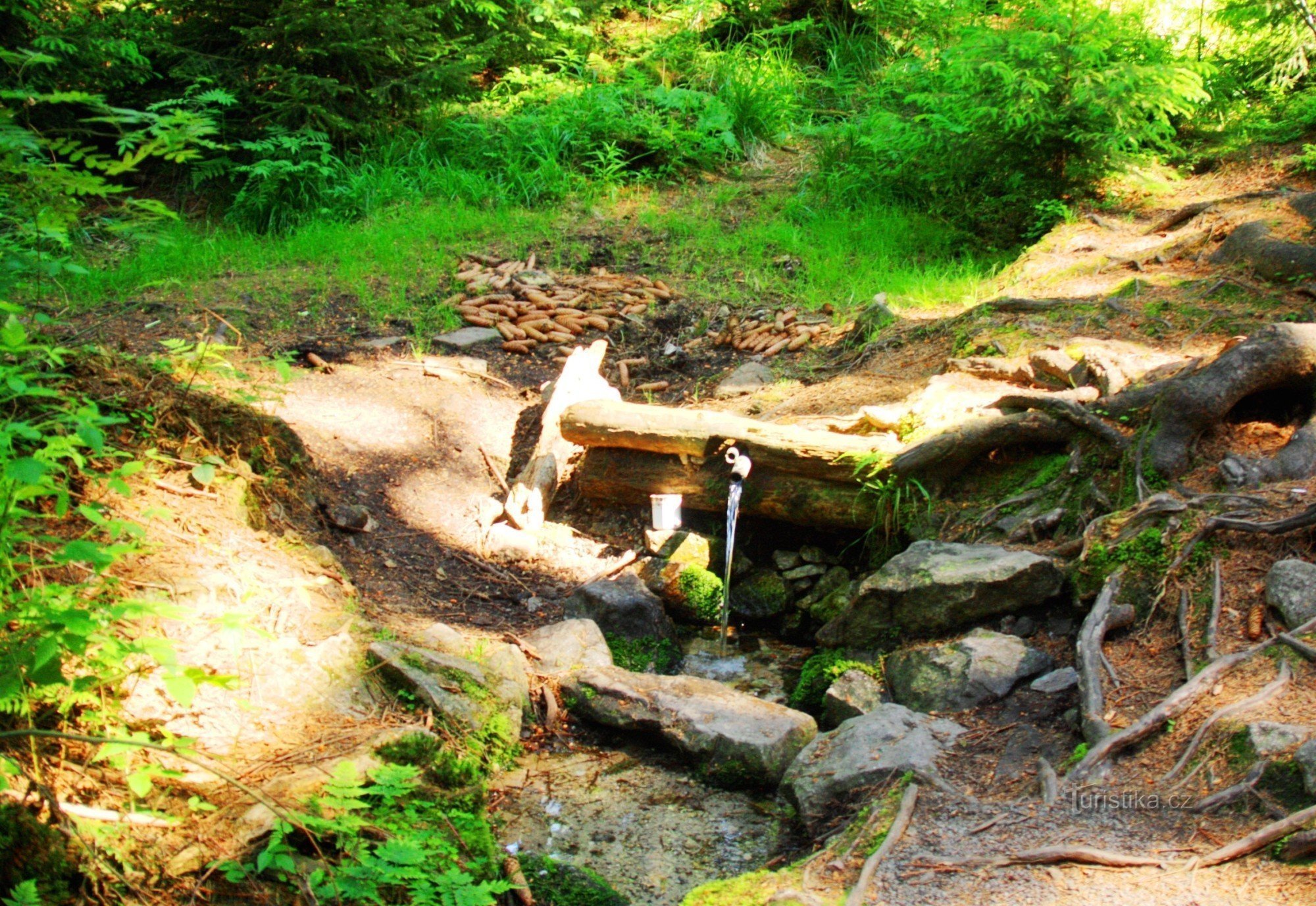 Studánka Salvátorka