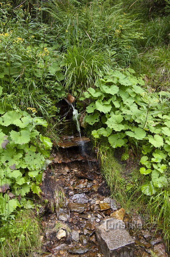 Un puits, plutôt un abreuvoir surélevé